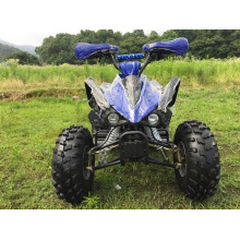 Deportes ATV Quad 110cc con engranajes automáticos completo para niños